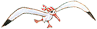 Hallo, ich begleite Capt�n Sharky � schau dich ruhig ein wenig um, es gibt viel zu entdecken!